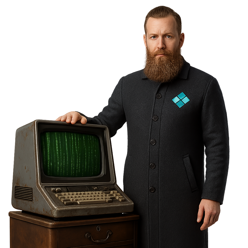 What CYBESIS Stands For